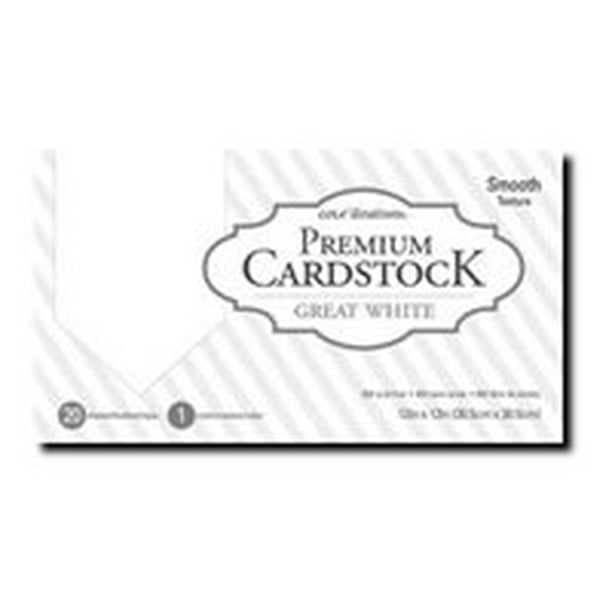 Core'dinations Value Pack Cardstock 12"X12" 80lb 20/Pkg-White Canvas Core'dinations Value Pack Cardstock 12"X12" 80lb 20/Pkg-White Canvas